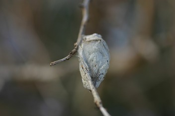 IMG_2159.jpg