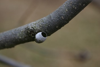 IMG_2785.jpg
