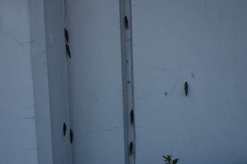 IMG_2956.jpg