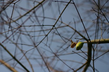 IMG_7688.jpg