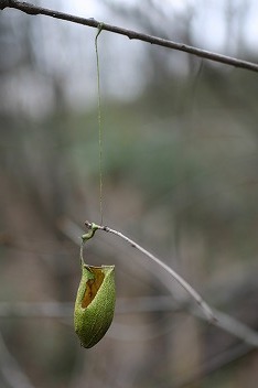 IMG_7847.jpg