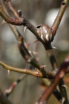 IMG_8500.jpg